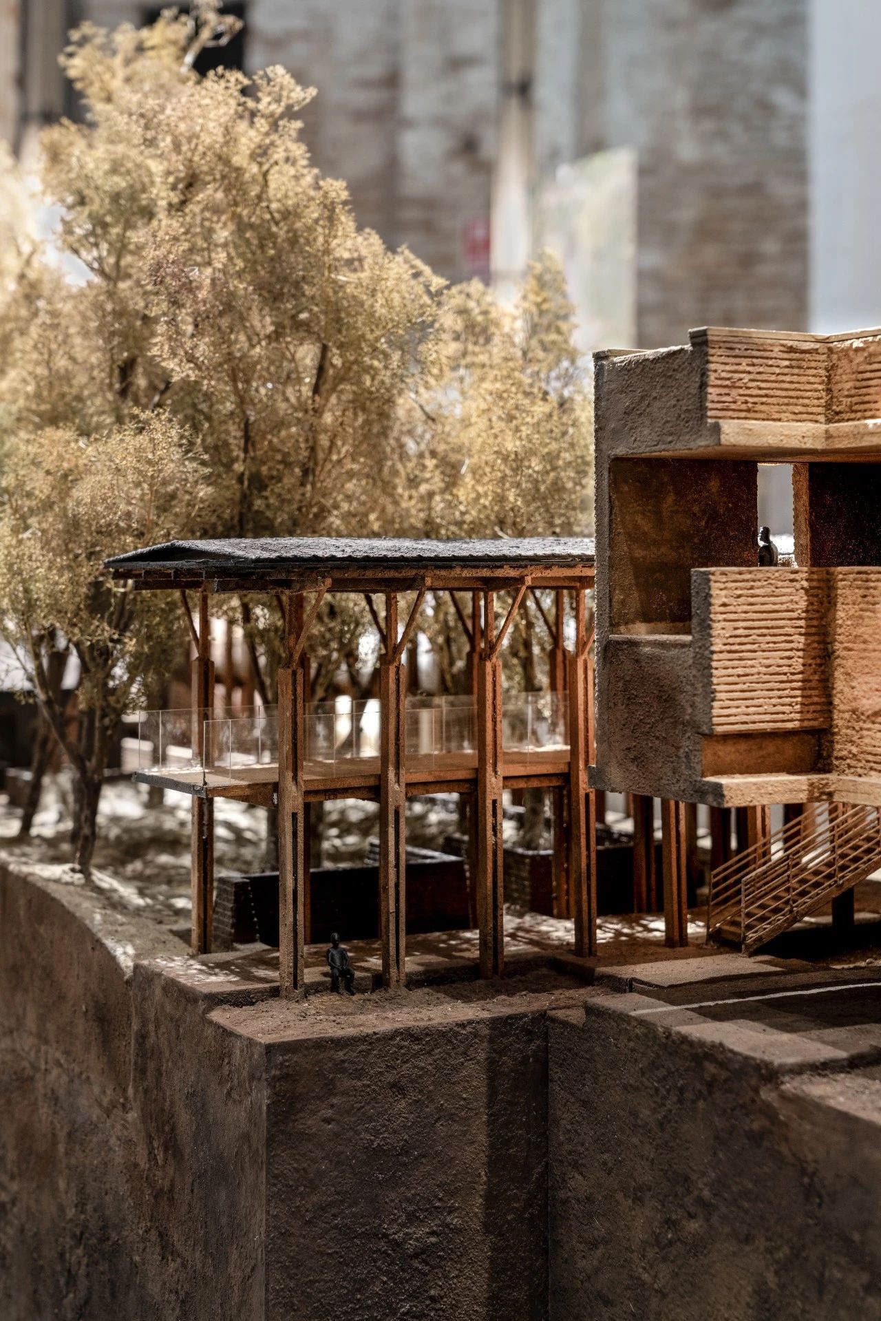 《平凡之树的再生》（聚焦“川上行”项目）丨意大利丨直向建筑-37