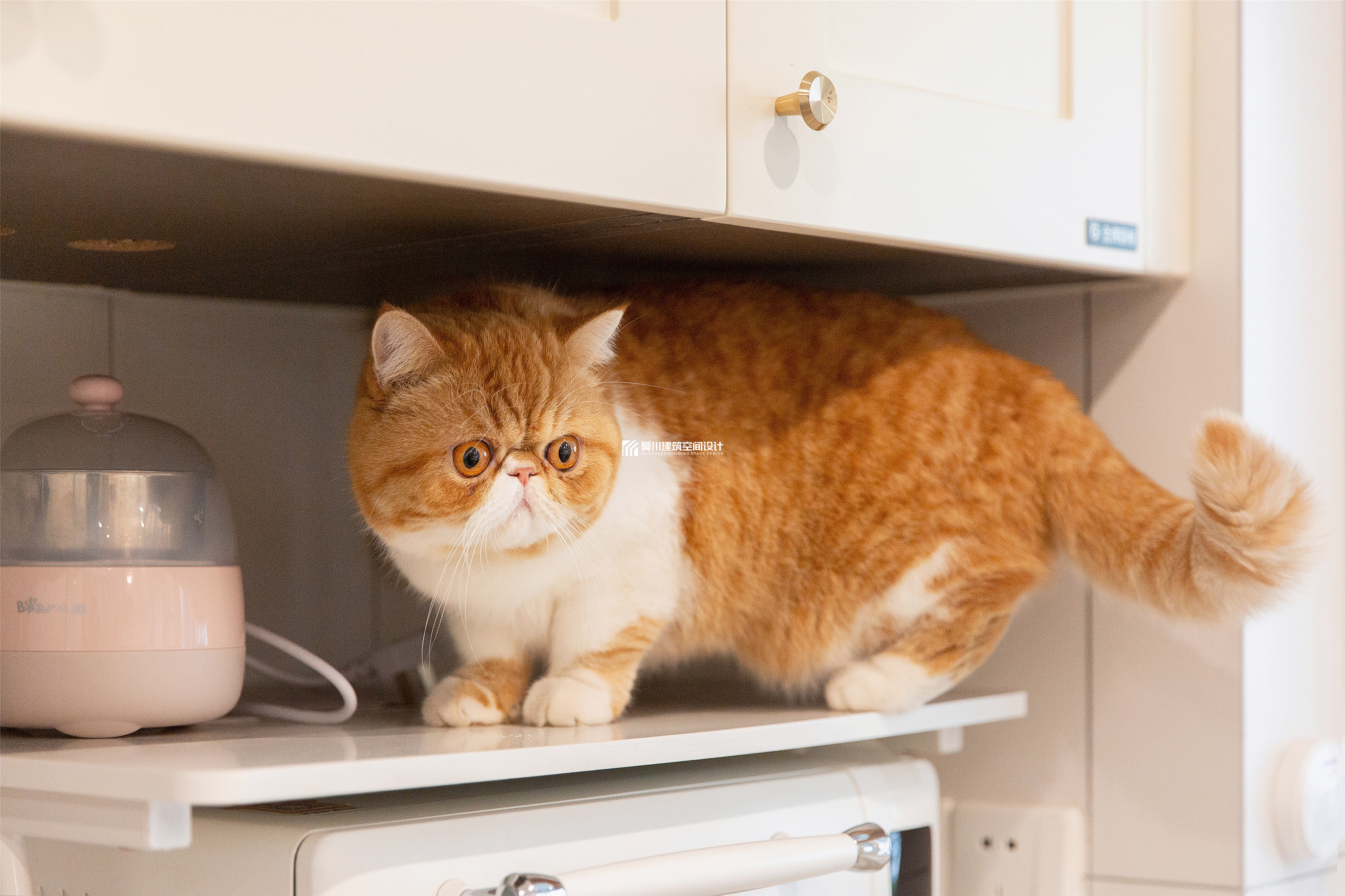 鼎太风华 127m²北欧风-15