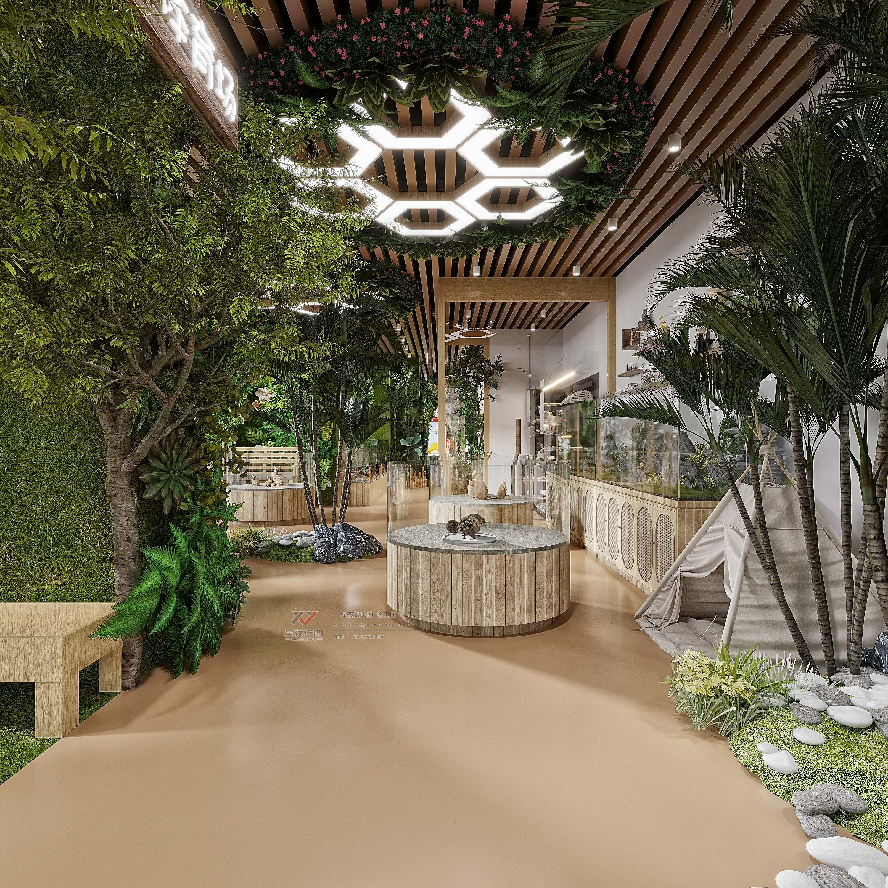 森林氧吧宠物店：让爱宠呼吸自然-2