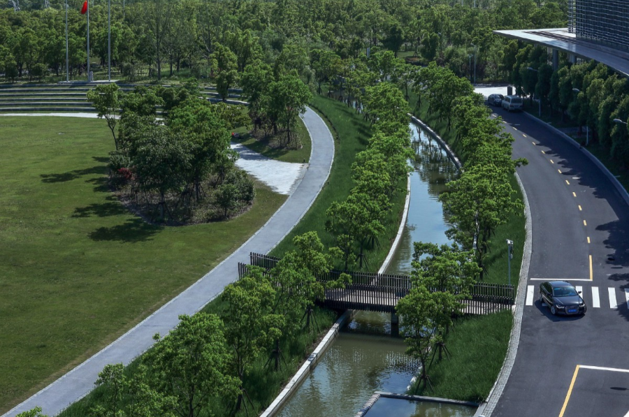 上海科技大学-76