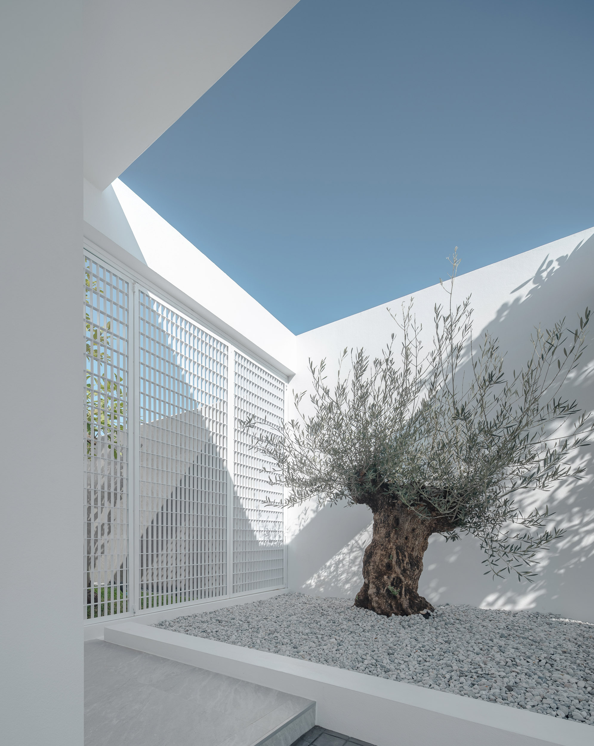 众议院 C+I丨泰国清迈丨blankstudio-33