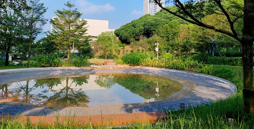 新闻|荣誉高光鹏城实验室园区荣获深圳市风景园林协会质量等级评定规划设计类优秀奖！-91
