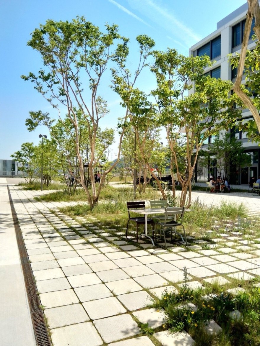 瑞士罗氏袖珍公园-14