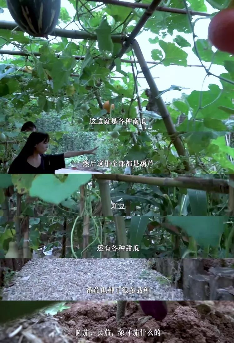 李子柒家居搭配揭秘 | 世外桃源的创意设计-11