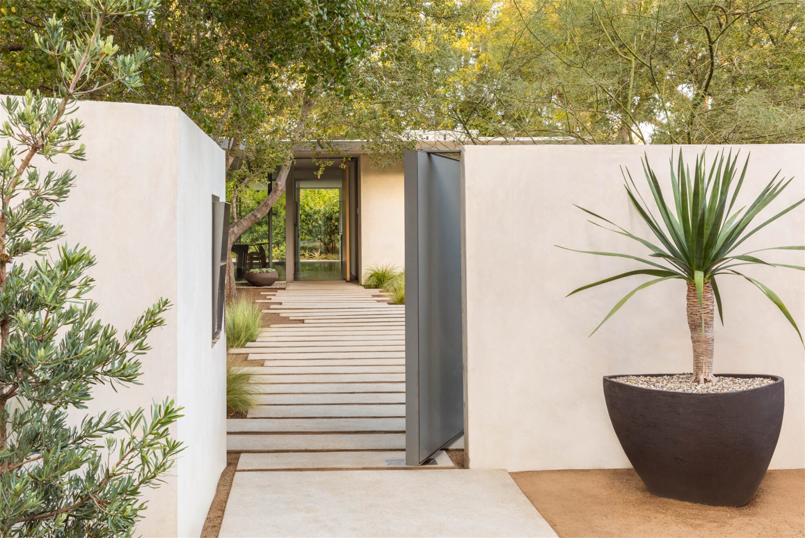 自然生长 · 私宅景观丨美国加利福尼亚-90