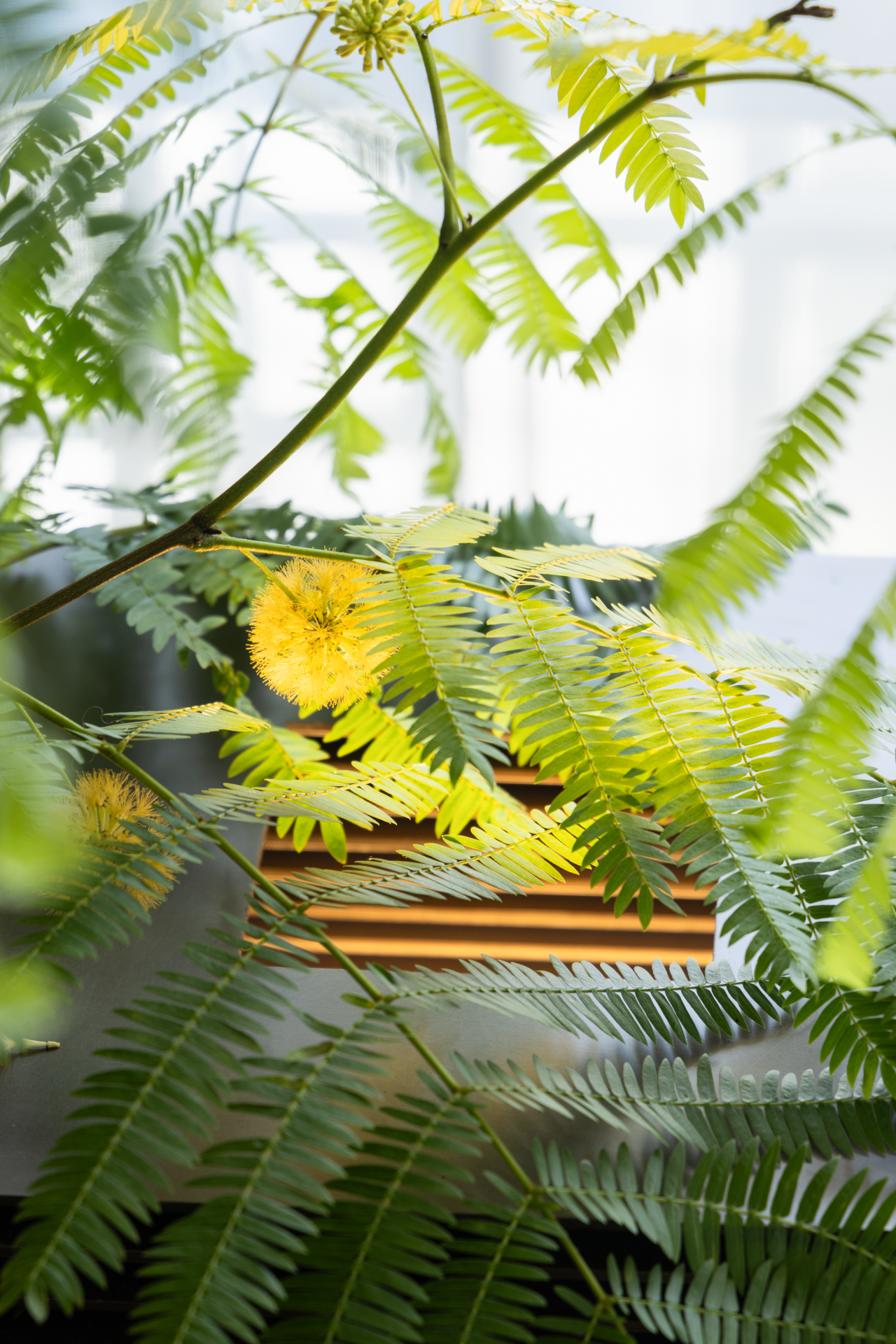 剧创中心 · 和院会所丨中国廊坊丨WAD璞羽设计-42