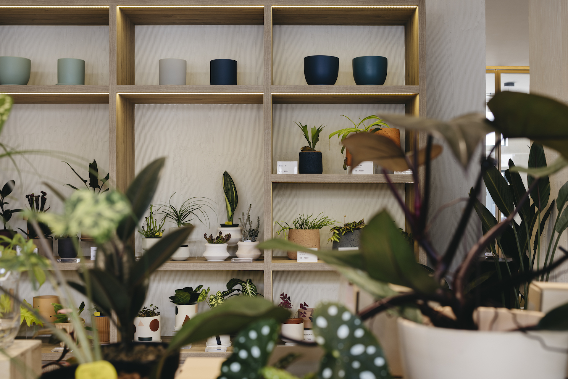 绿意盎然的社区导向商业空间丨LAANK-12