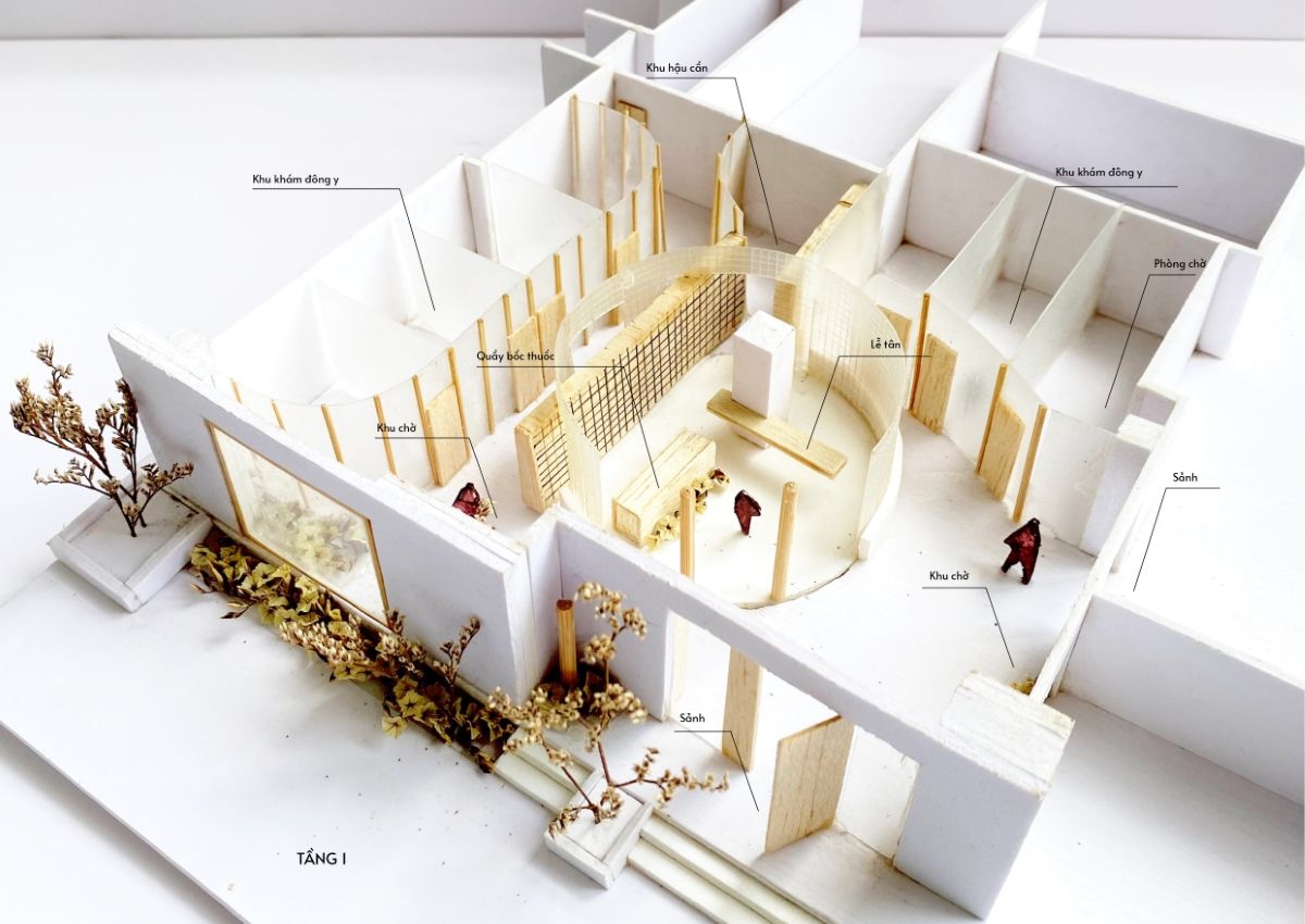 现代越南风格 YHCT 诊所设计,融合自然人文元素-38