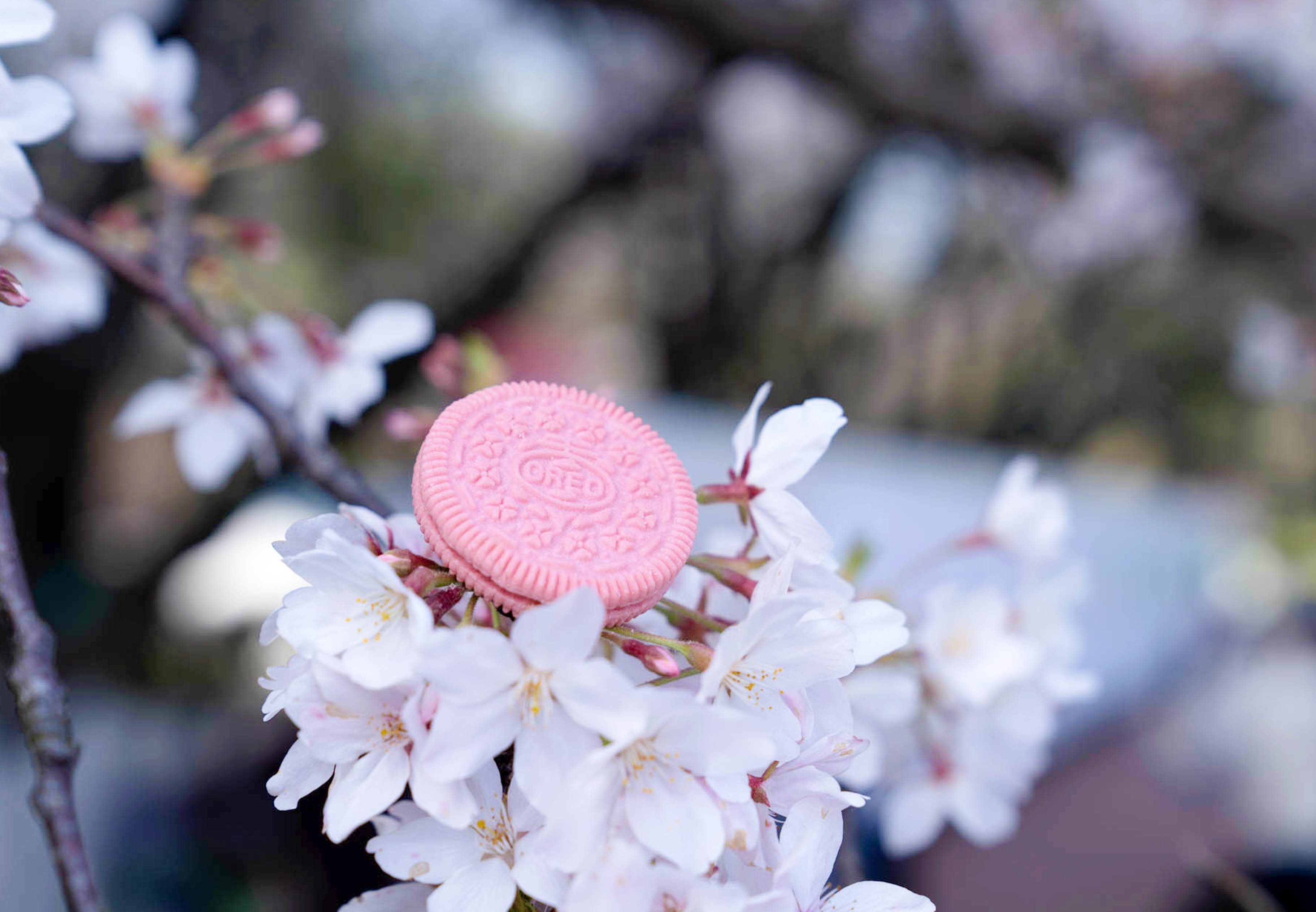 春日闺蜜的樱花古风之旅 · 奥利奥晴川阁艺术展丨中国武汉丨天与空,不是美术馆-19