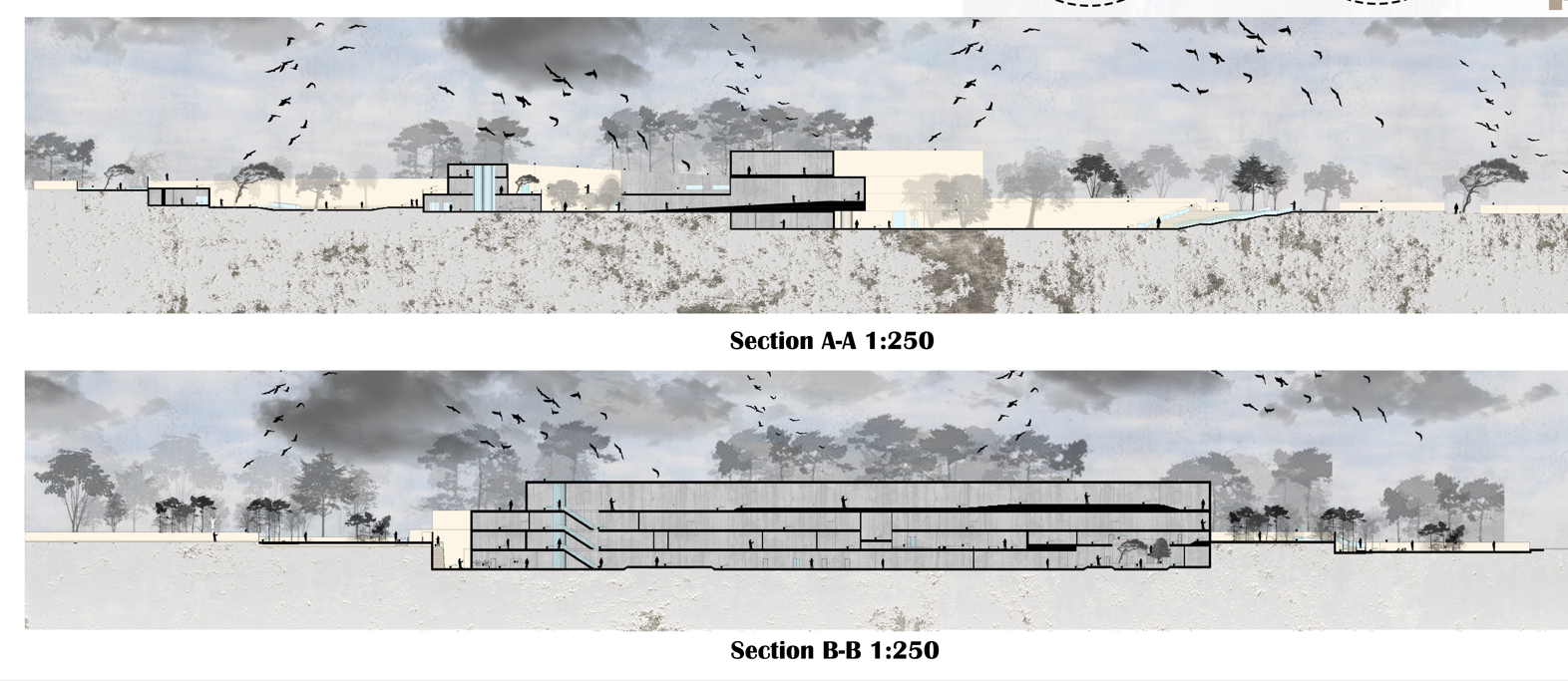 约旦社会文化技术中心丨约旦安曼-26