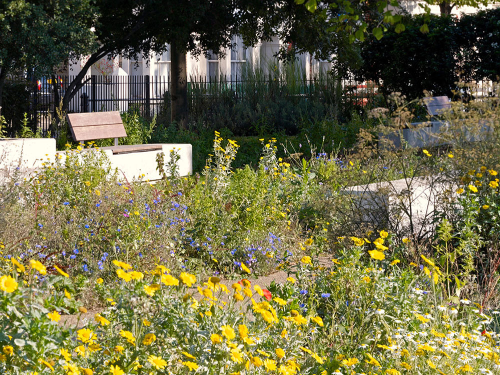 伦敦诺曼德公园丨英国伦敦-12