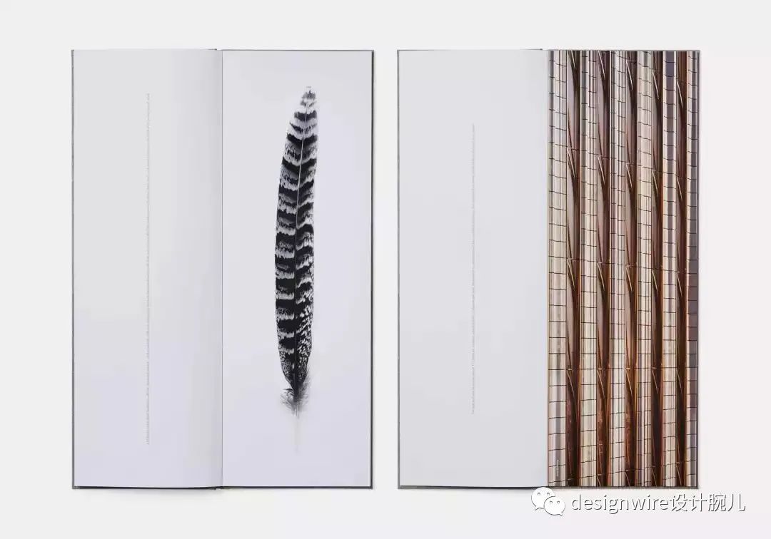 纽约施坦威大厦顶层豪宅，艺术与景观的完美融合-34