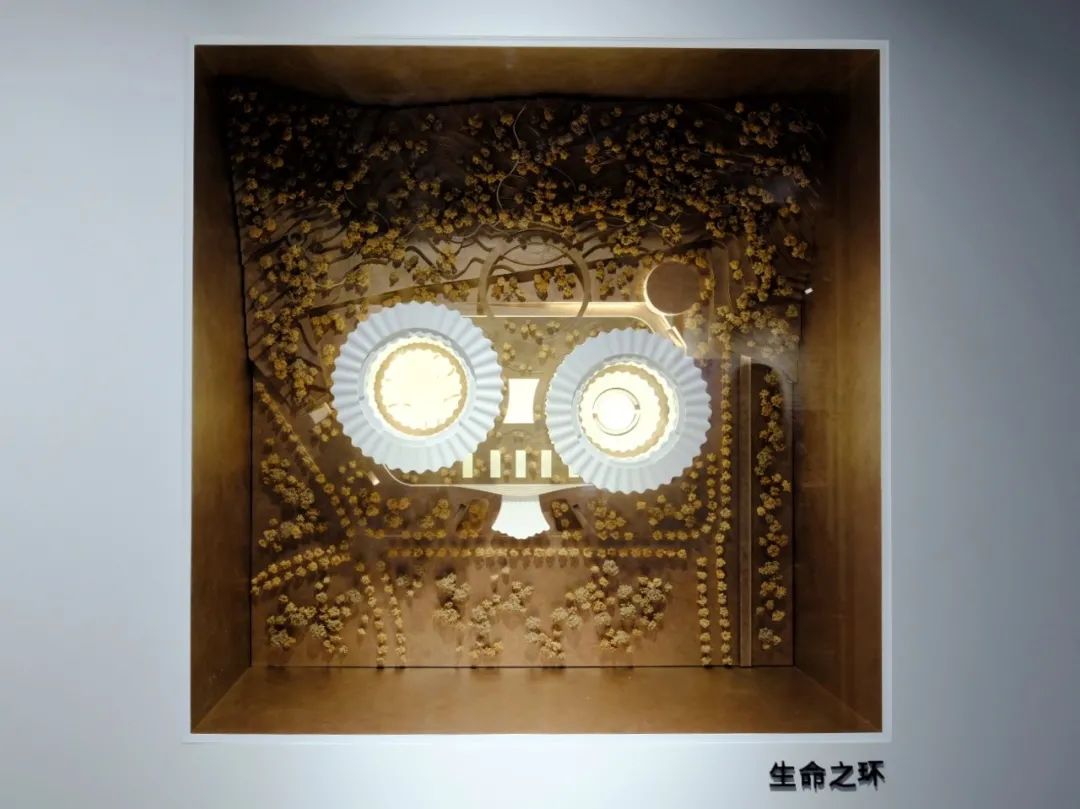 深圳建筑可能性展 | 集群展呈现建筑师风貌-73