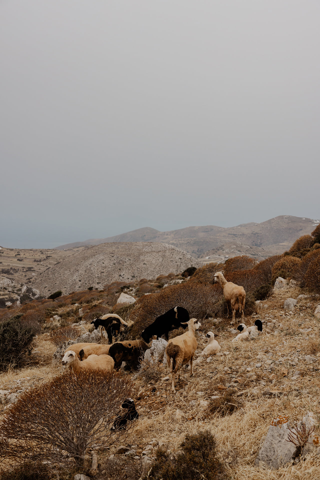 丨希腊丨雅典建筑事务所Block722-1