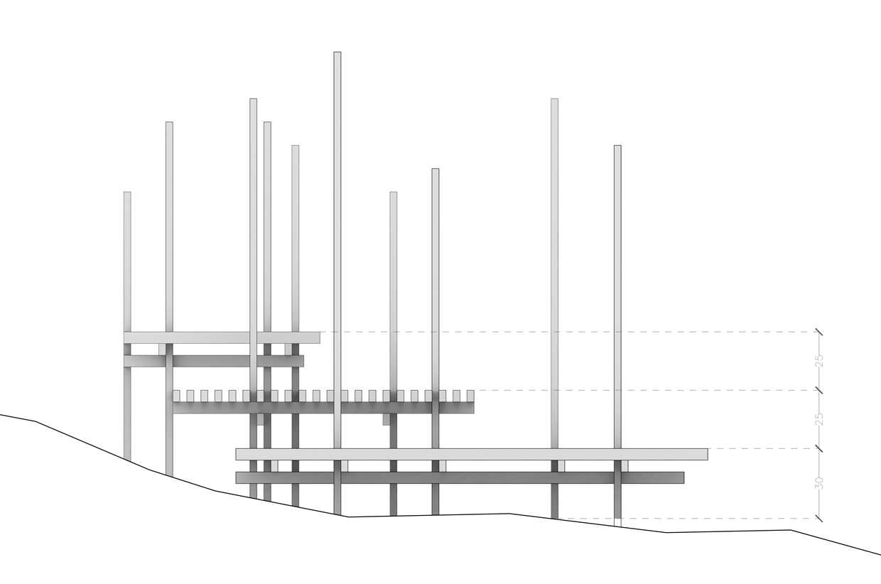 PINETUM Francesco Librizzi Studio-11