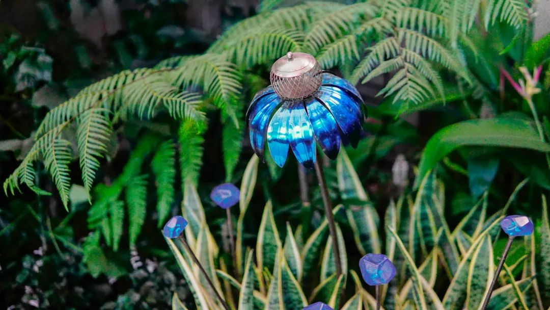 深圳华润万象前海商业花境设计及落地丨中国深圳丨深圳本末度景观设计有限公司-85