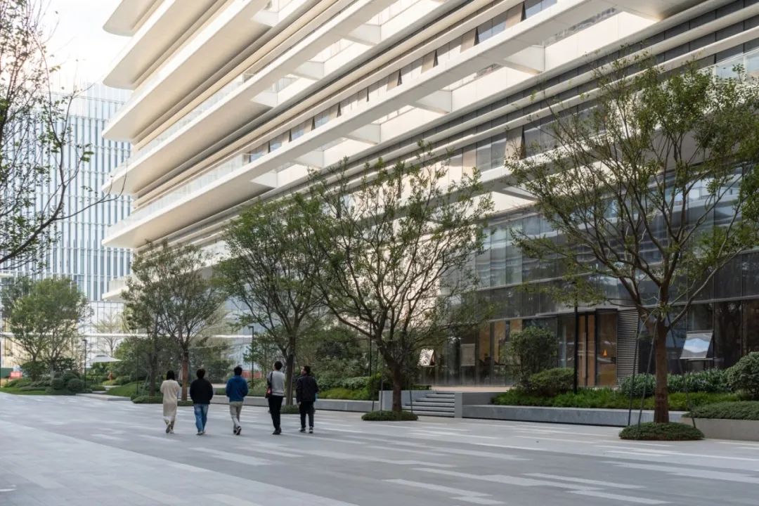 OPPO 智能制造中心项目 B 地块一期北区厂房园林景观分包工程丨萨尔瓦多滨海丨广州普邦园林股份有限公司-19