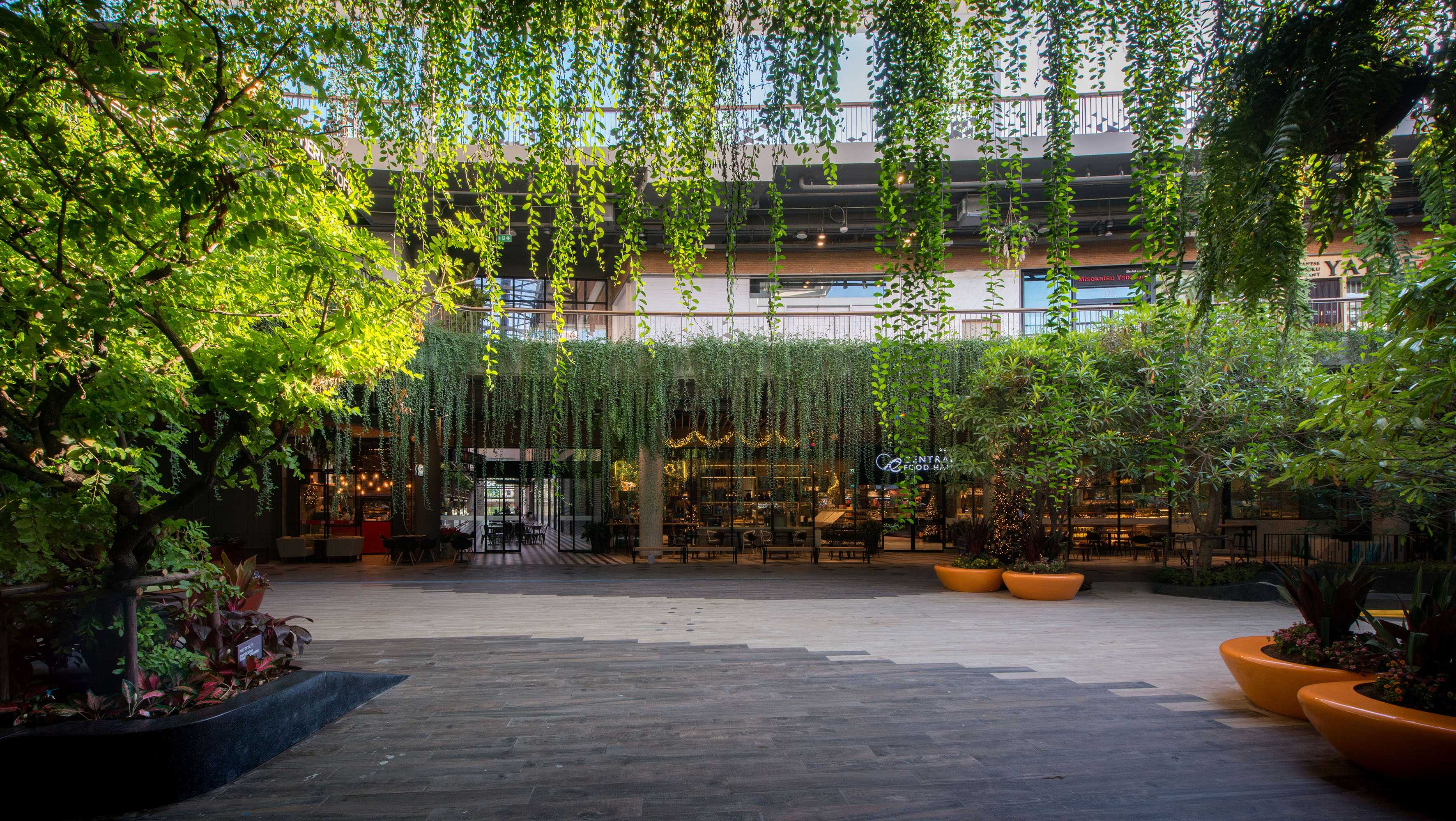 中央节日东维尔-10