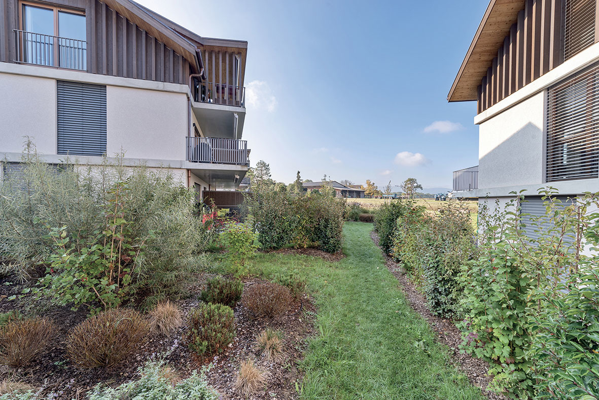 Les Prés  de  Boisset村庄建筑项目丨瑞士日内瓦丨Architectes.ch-11