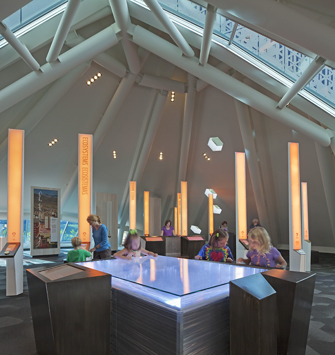 科学金字塔(The Science Pyramid)-6