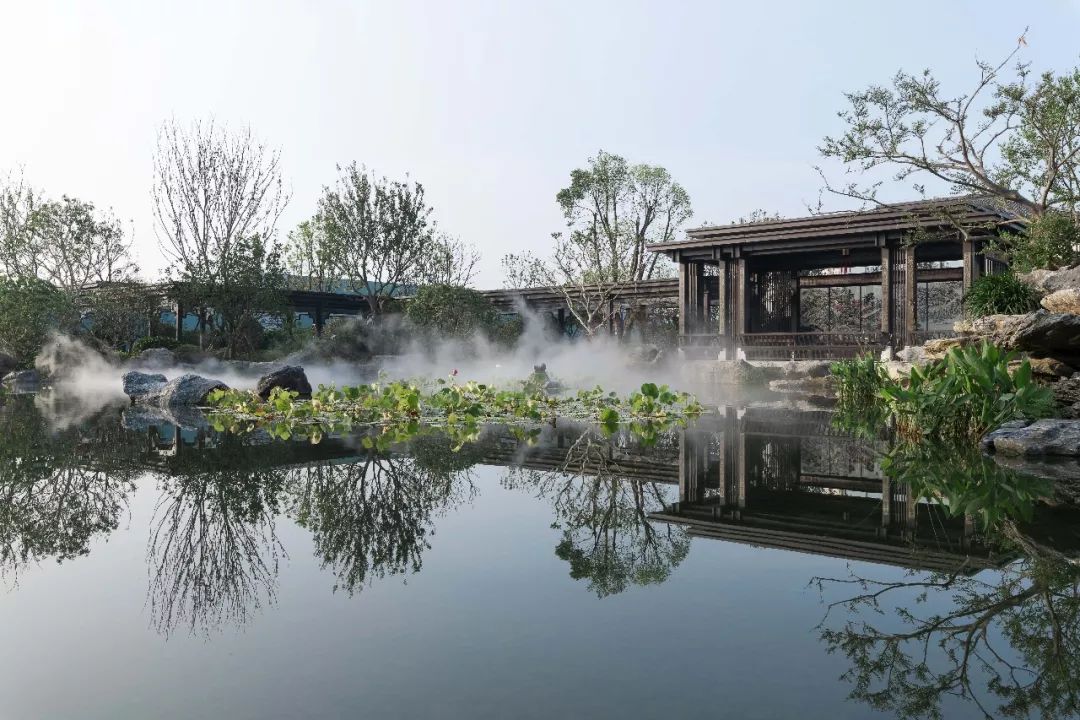 家有院子，何必远方 | 泰禾•红树湾院子-74