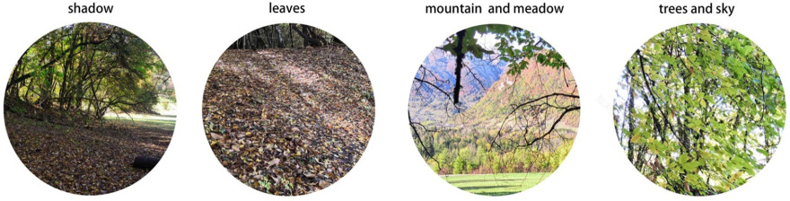 冥想小屋·A “light” paper cage丨法国丨无意义建筑-11