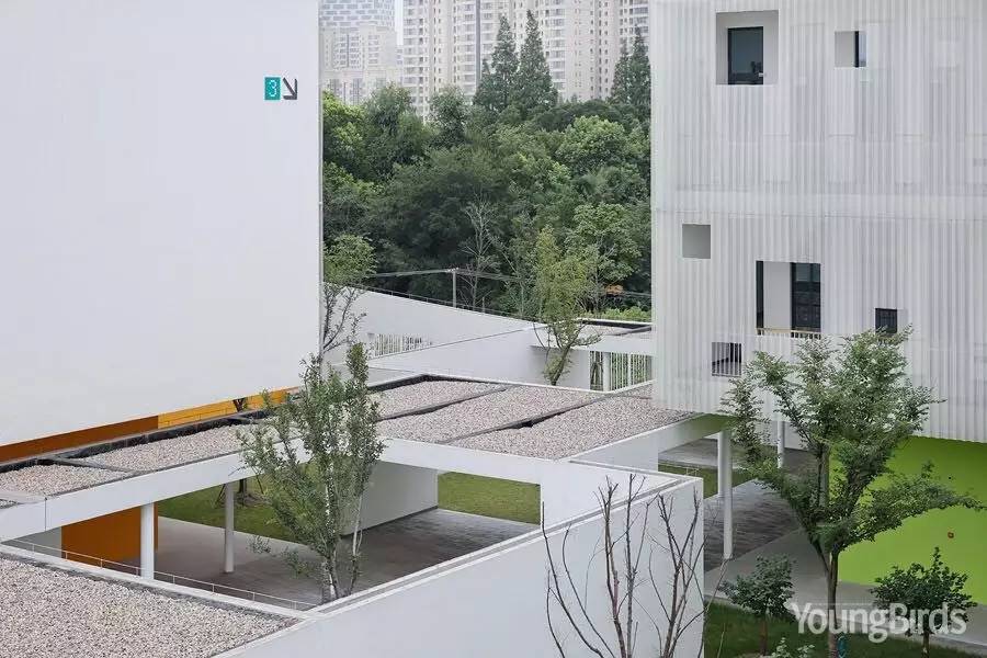 大舍 | 嘉定桃李园实验学校-17