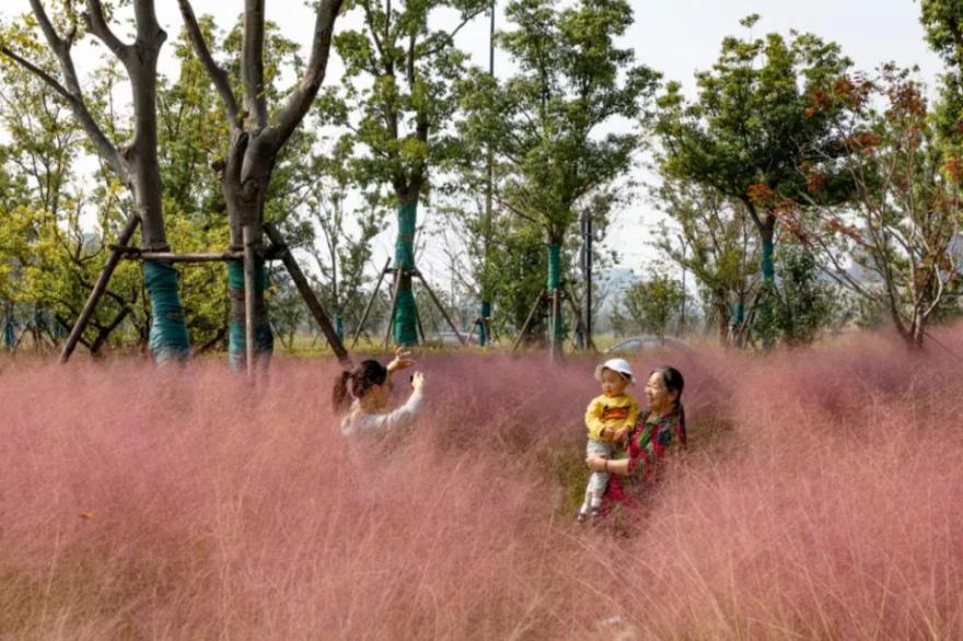 南通紫琅公园-7