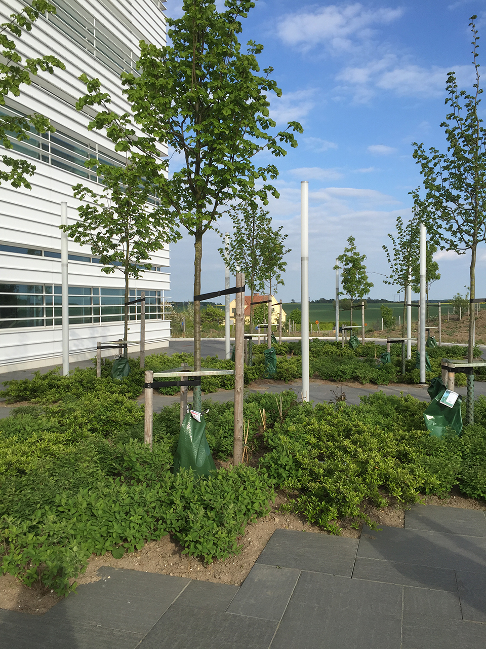 MAX IV 实验室周边景观规划，瑞典 / Snøhetta-51