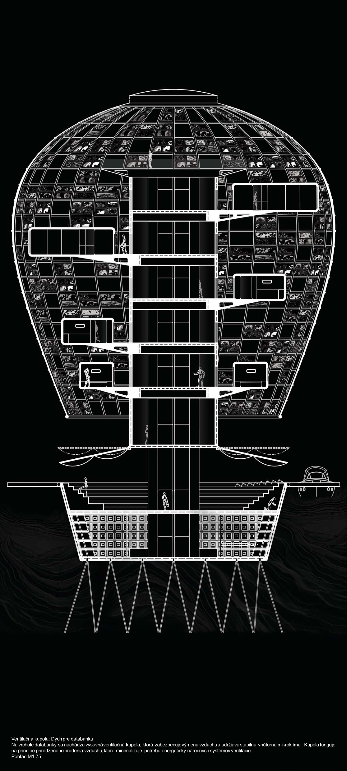 水上数据库项目-5
