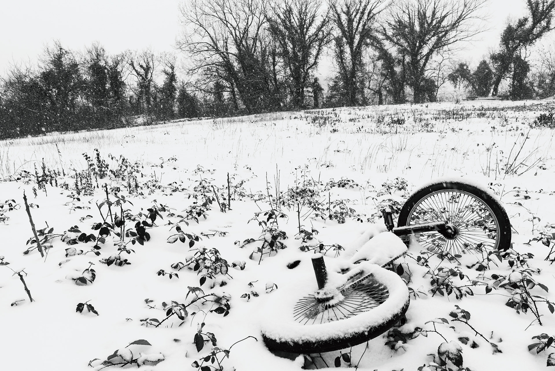 Knoxville, TN (USA).-60