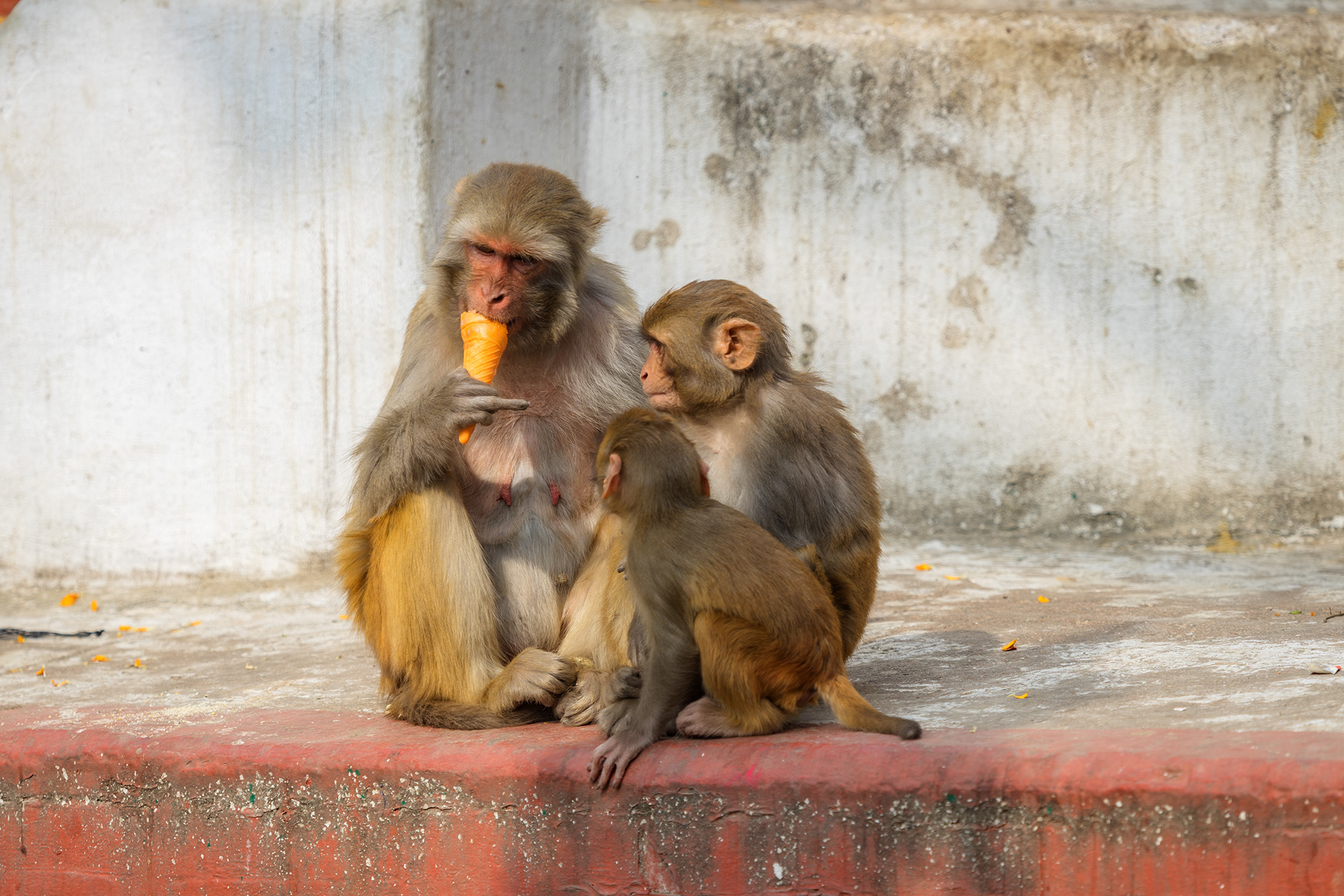加德满都及周边地区丨尼泊尔丨KIRILL TSYBENKO-30