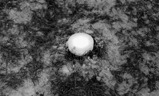 Боровицкой площади（博罗维茨卡娅广场）景观美化项目丨俄罗斯莫斯科丨AI  architects（亚历山大·托马申科,伊万·科尔马诺克）-63