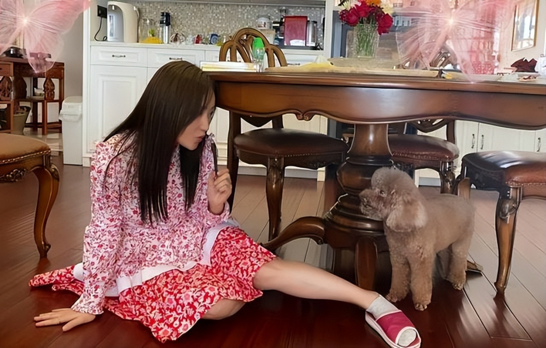 52 岁杨钰莹的 “豪宅” 火了，一个人，养花种菜，与狗相伴，治愈了很多人-23