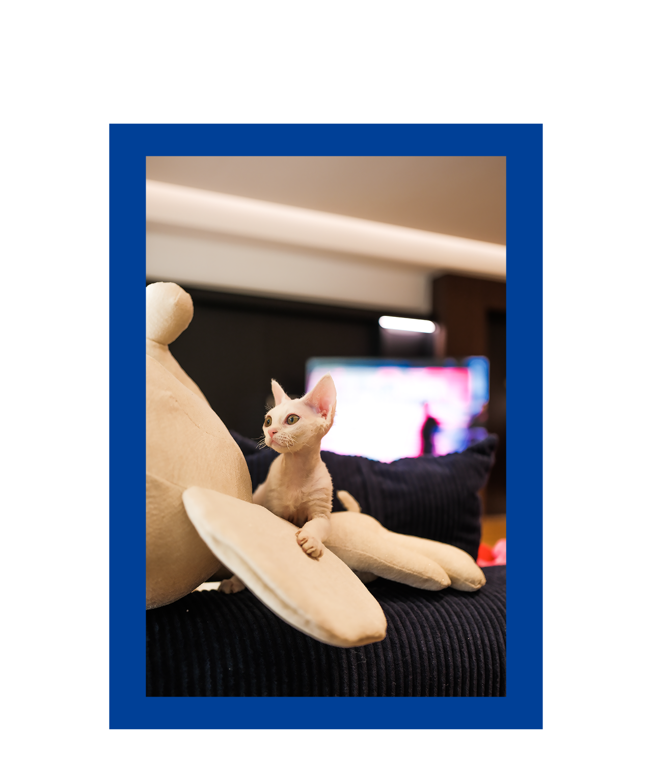 几何载真丨于也空间设计工作室-2