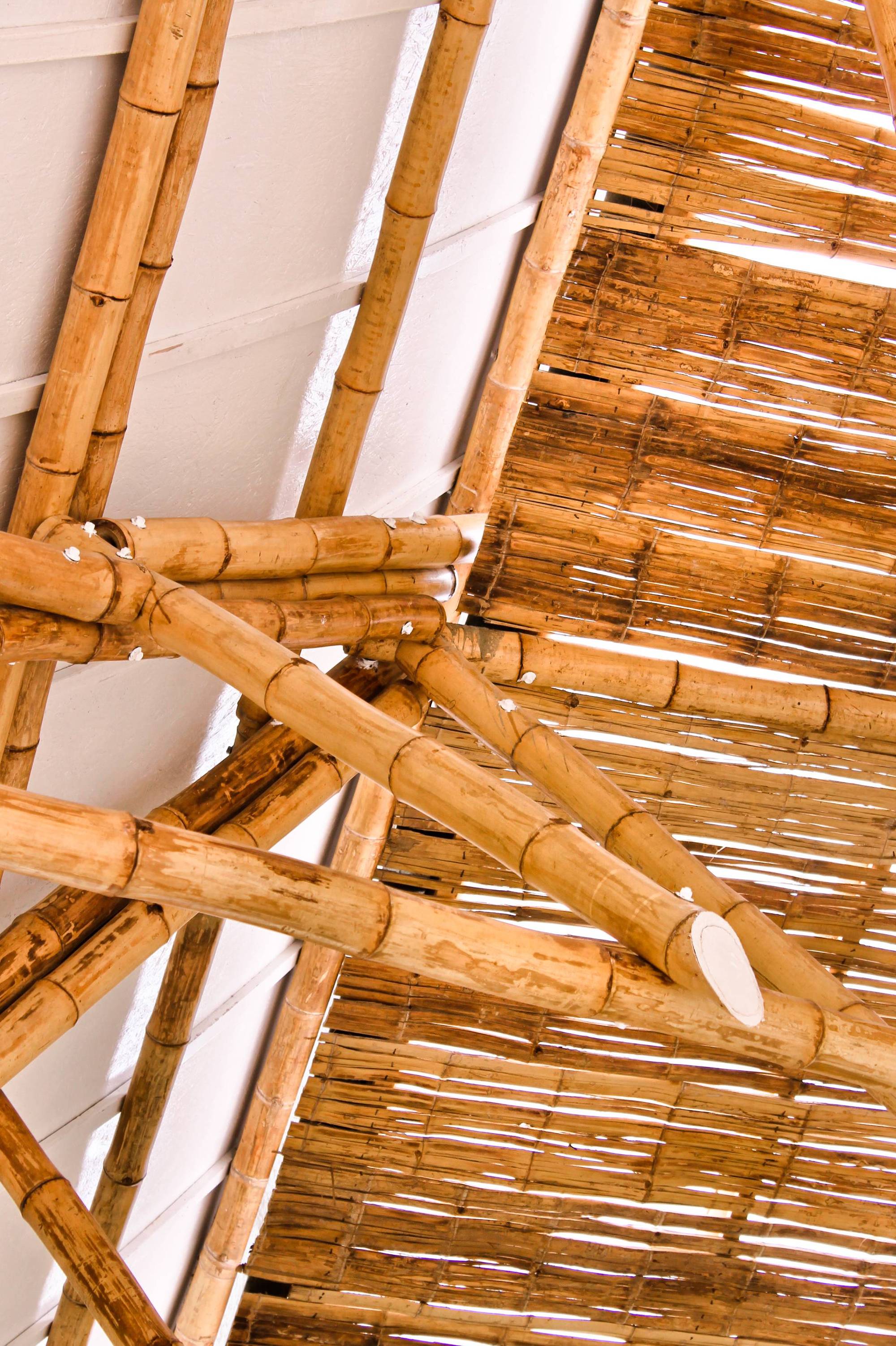 Bamboo Auditorium / Instituto de Vivienda, Urbanismo y Construcción de la USMP-22