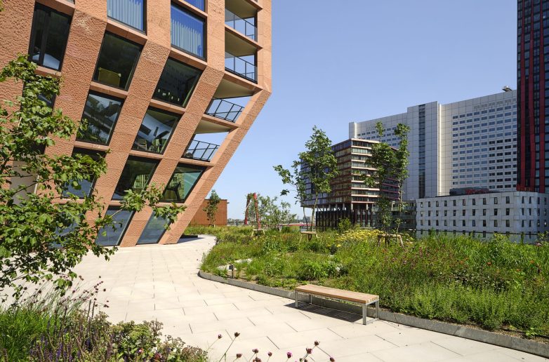 丨荷兰鹿特丹-39