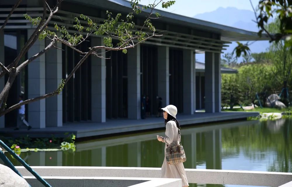 中国国家版本馆“一总三分”丨中国北京丨中央总馆庄惟敏,西安分馆张锦秋,杭州分馆王澍,陆文宇,广州分馆何镜堂-38