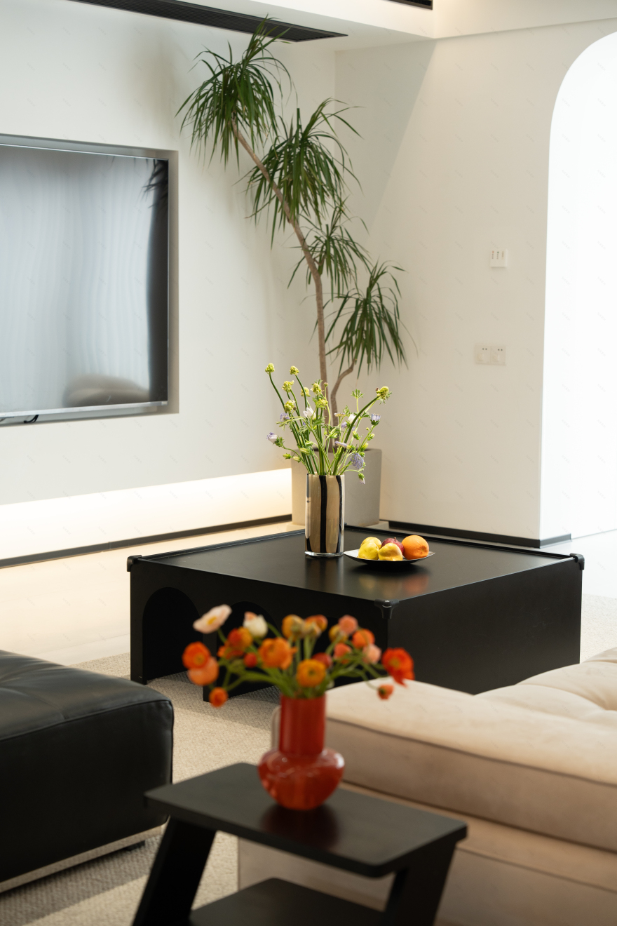 中航云府·黑白灰内涵格调-11