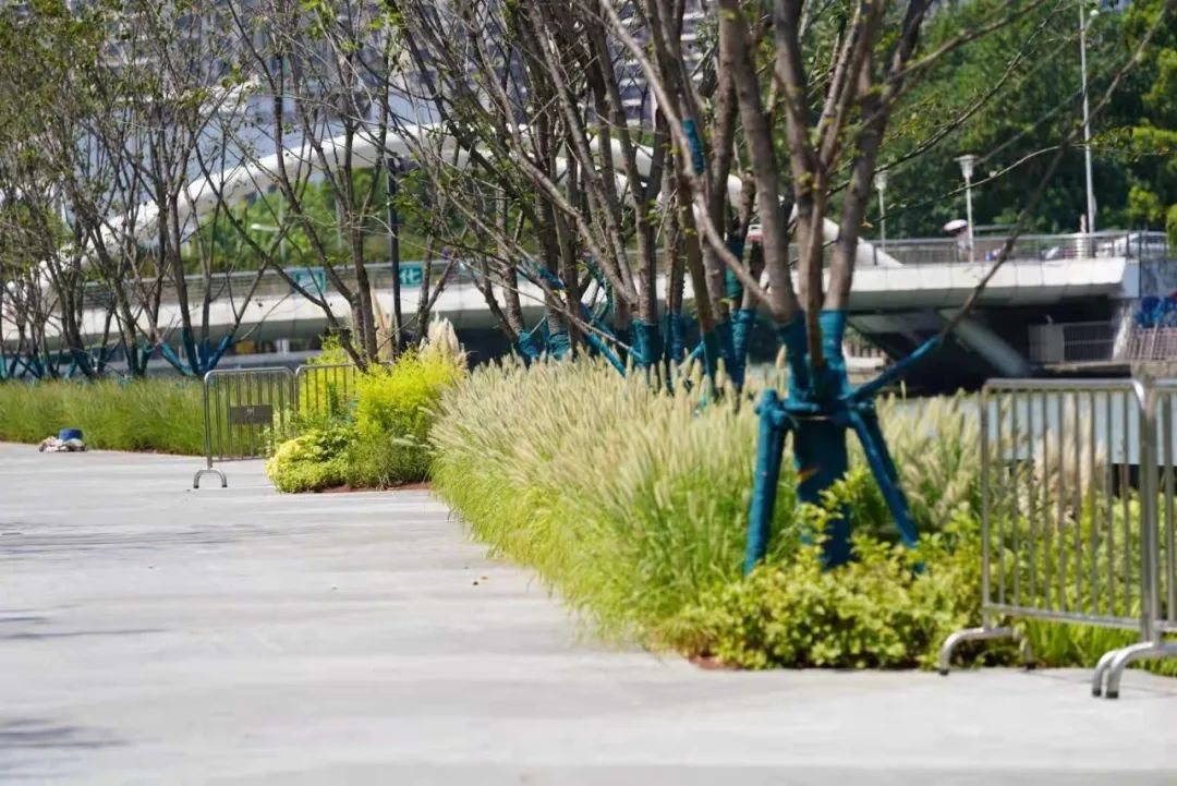 天安千树滨河花园 | 托马斯的文艺复兴空中花园梦-135