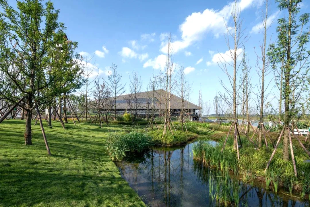 眉山桃园湖公园-13