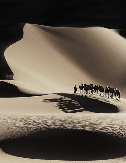 西安湖城印象熙岸销售中心丨中国西安丨重庆米修室内设计有限公司-5