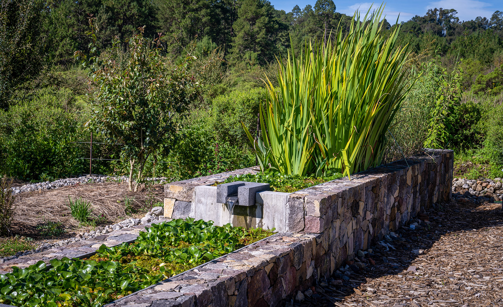 墨西哥雨水收集之家丨Robert Hutchison Architecture + JSa-41