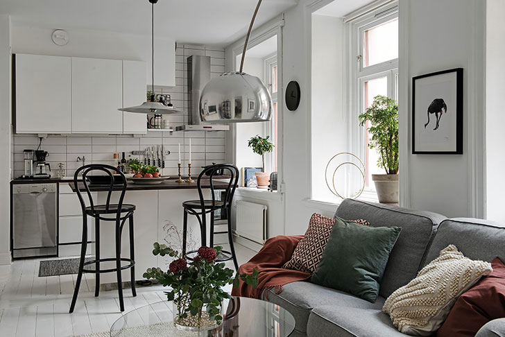 47 平米时尚魅力小公寓-4