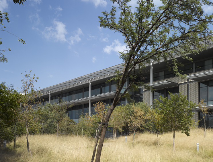 南非 De Beers 总部大楼,现代办公空间的绿色与自然融合-19