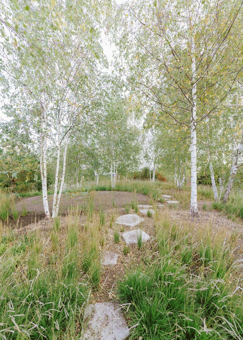 哥本哈根歌剧院公园丨丹麦哥本哈根丨丹麦Cobe建筑事务所-40