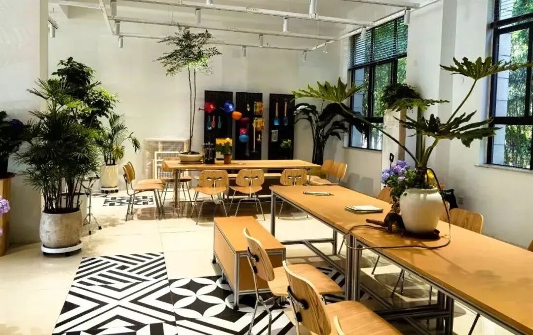 泉城焕新绿▏泉民园艺中心旗舰店-13