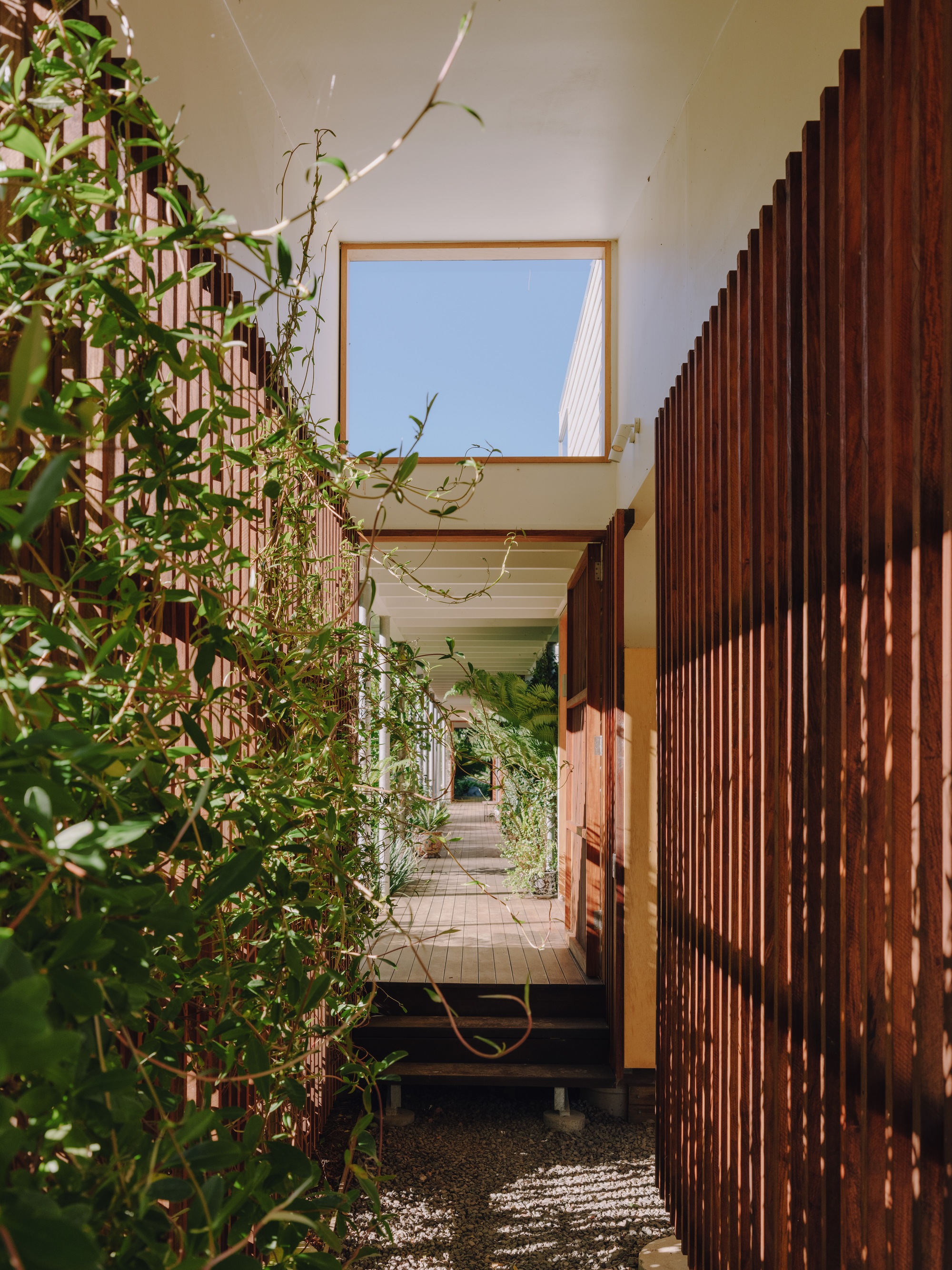 丨澳大利亚丨Dan Wilson,Henry Bennett-15