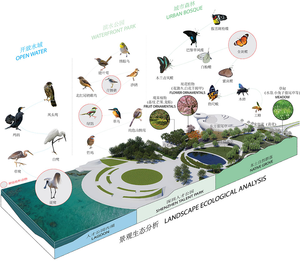 深圳湾文化广场丨中国深圳丨MAD建筑事务所-21