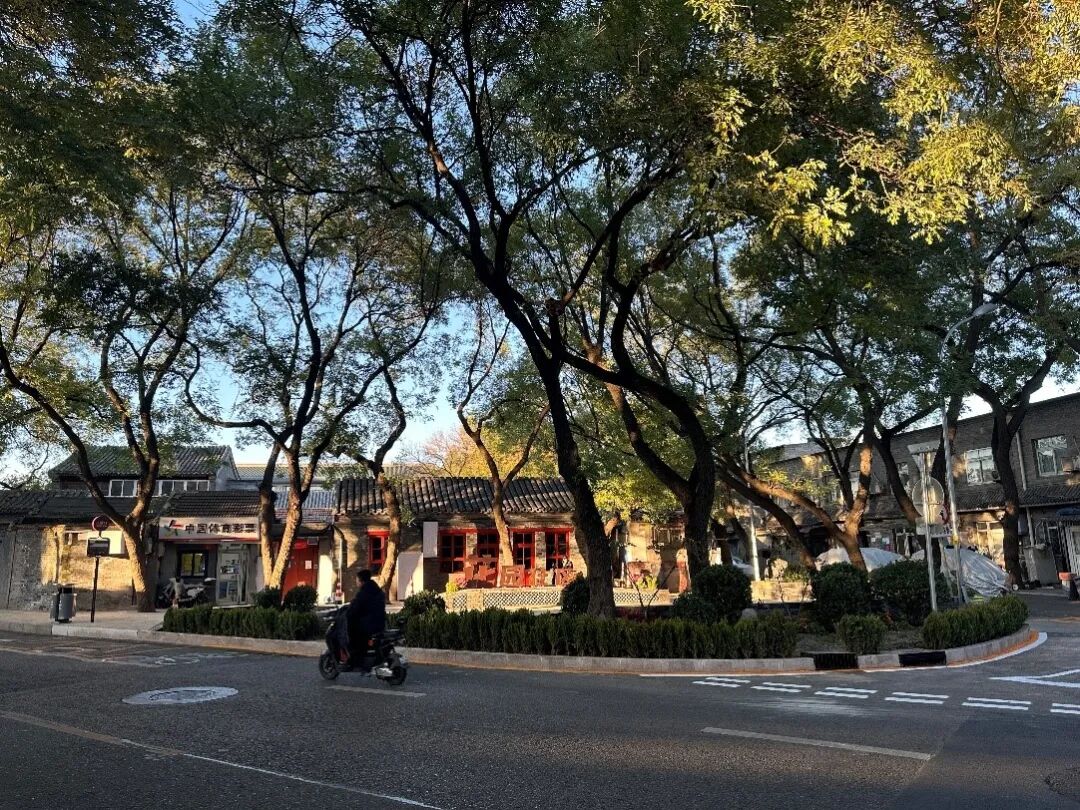 花园城市|跟随同衡专家和《数说北京》探访北新华街“精致花园社区”微更新实践-82